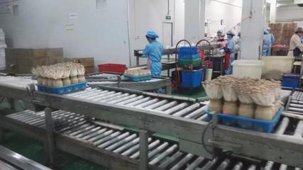 市投促局赴上?？疾烊〉梅e極成果，四項目達成技術咨詢共識